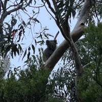 Photo by Clarissa W.