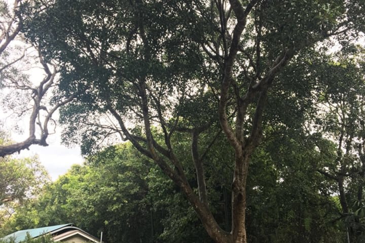 Photo by Michelle L.