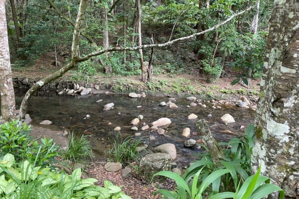 Photo by Courtney T.