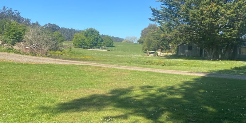 Photo by Samantha k.