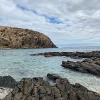 Photo by Brittany B.