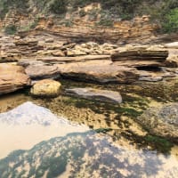 Photo by Caroline M.