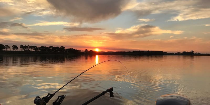 Photo by Eddy & Kathy Tiemens