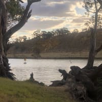 Photo by Amanda Jain Hornett