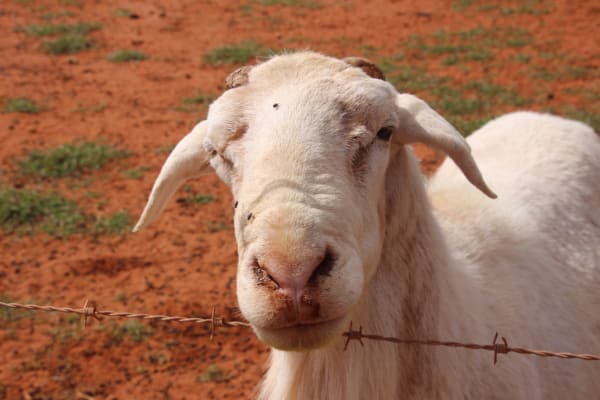 Photo by Four Hands in a Tin Can