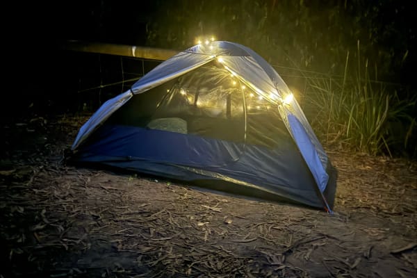 Photo by Eva  Worrell-Smith