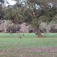 Photo by Colin van den Hoff