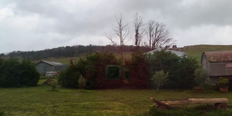 Photo by Jenni-Dawn B.