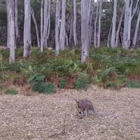 Photo by Olivia Bataligin Averkin