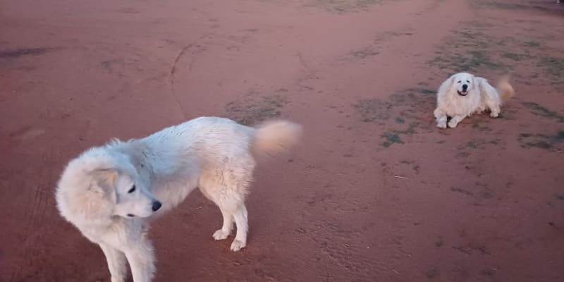 Photo by NightRanger D.