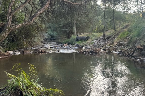 Photo by Paul J Polderman