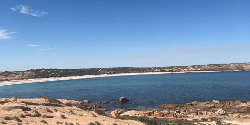 Photo by Philippa D.