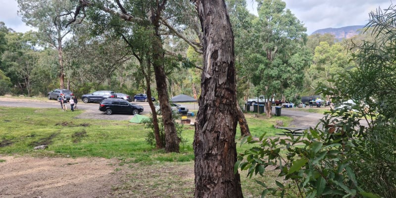 Photo by Stephanie L.