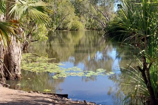 Photo by Colin van den Hoff