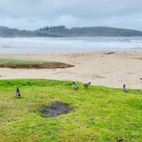 Photo by Krishantha E.