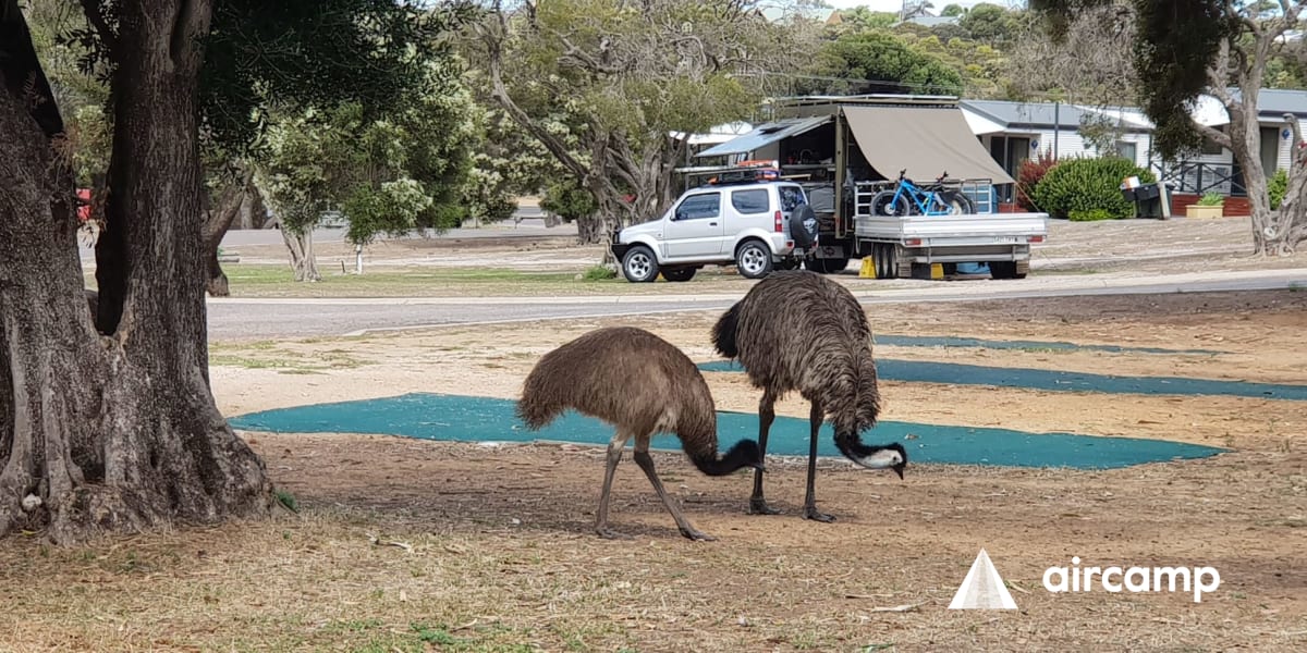 Discovery Parks - Coffin Bay