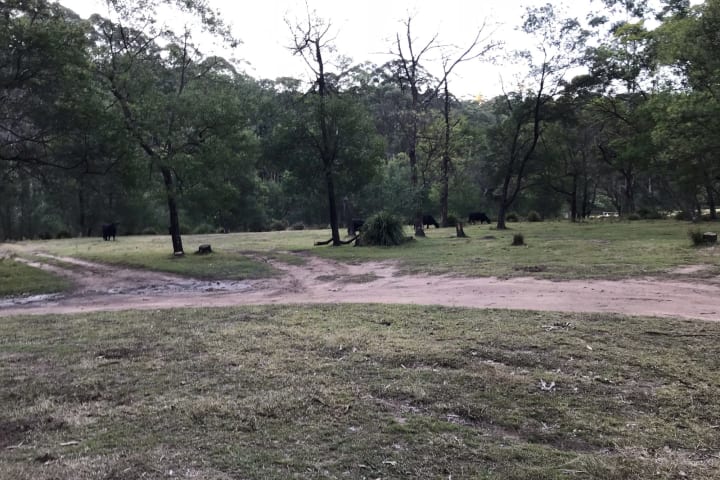 Photo by Stephanie L.