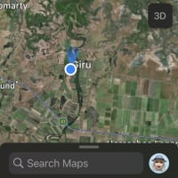 Photo by Lee-Anne F.