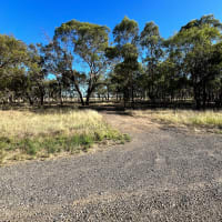 Photo by DaveDuff    CampInNature