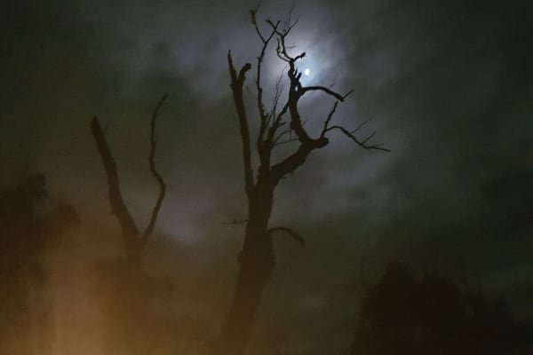 Photo by Connie de Koning