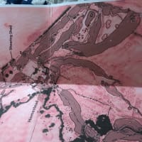 Photo by The blonde nomads