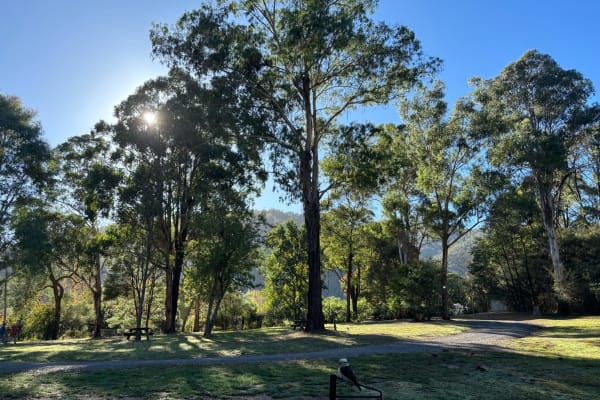 Photo by Isabel Torres Dee