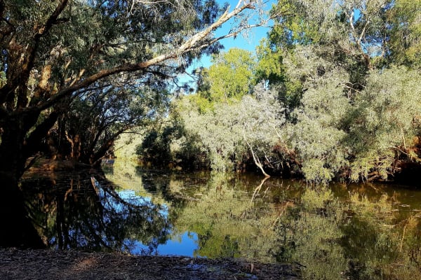 Photo by My Rig Adventures