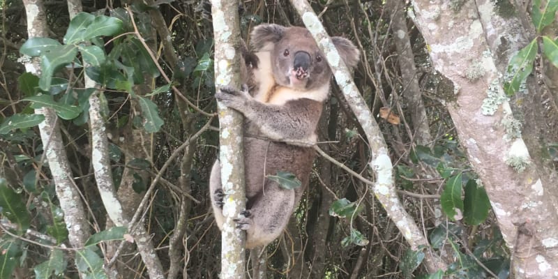 Photo by Michelle G.