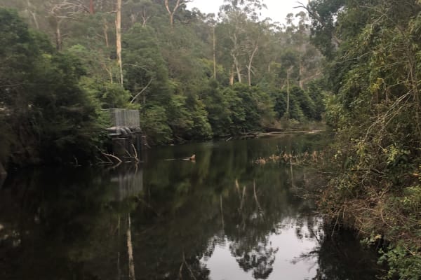 Photo by YoungAdventuresAust