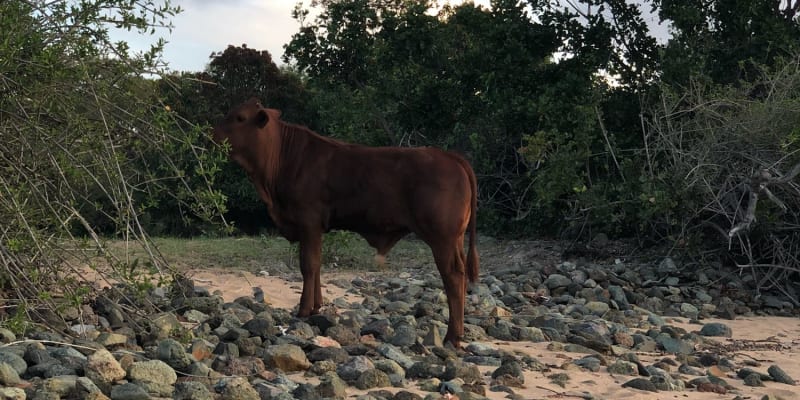 Photo by Samantha M.