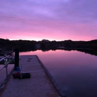 Photo by El Rancho Relaxo