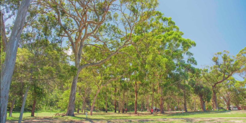 Photo by Tathra Beach Motor Village