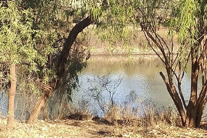 Photo by Caroline S.