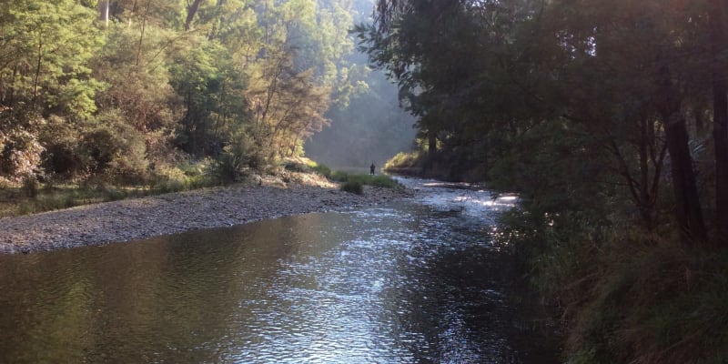 Photo by Mary-anne N.