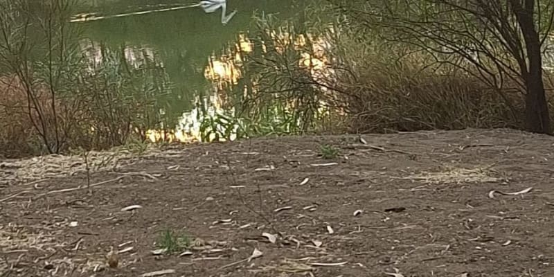 Photo by Caroline S.