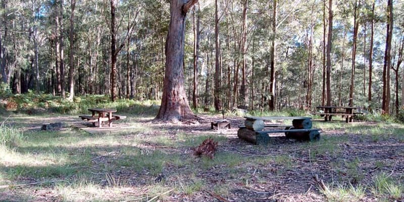 Photo of Bangalow campground
