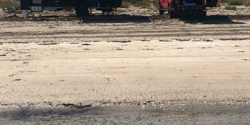 Photo by Kristine H.