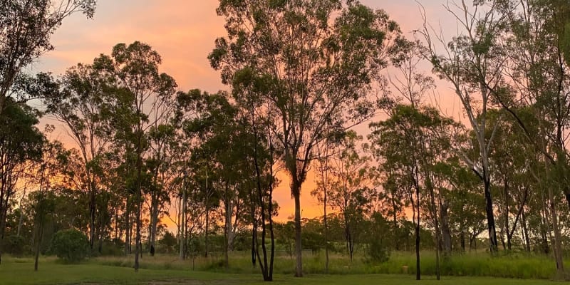 Photo by Elizabeth L.