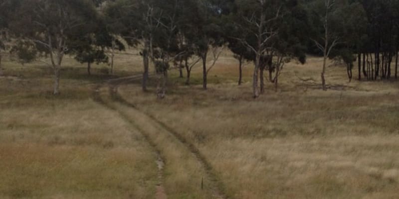 Photo of Northborder Campsite