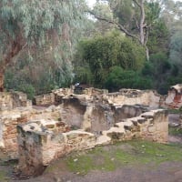 Photo by Nickolas S.