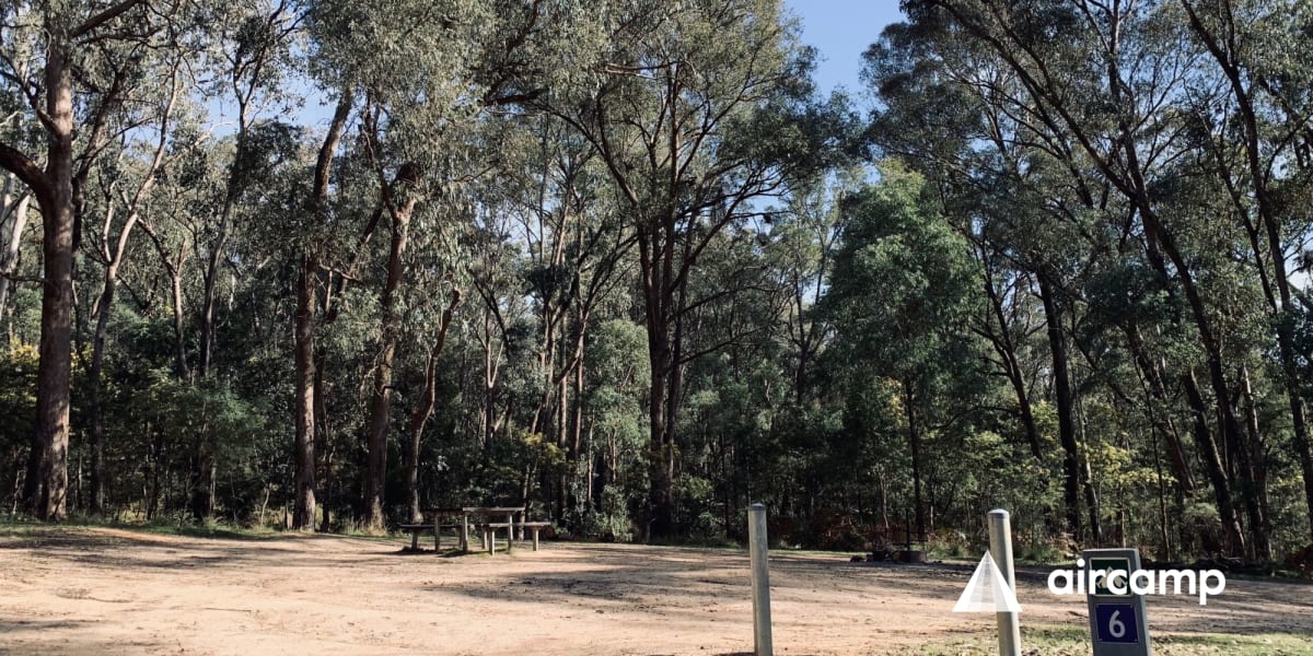 Yackandandah Creek Site 6