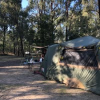 Photo by Gene Catalan Ashling