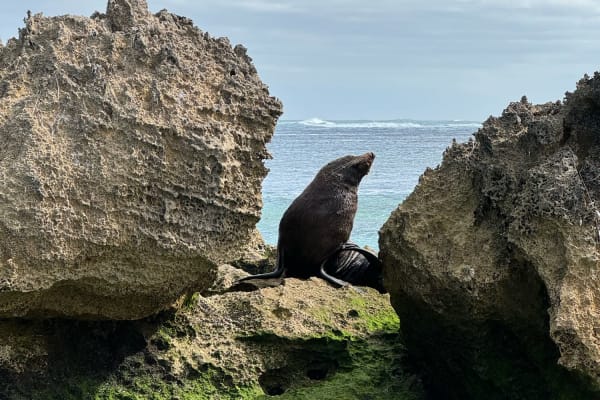 Photo by Happy Hour Hunters