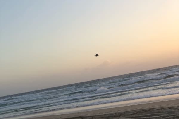 Photo by Genevieve W.