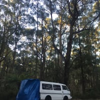 Photo by Gabrielle L.