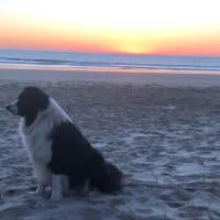 Photo by Laisiana T.