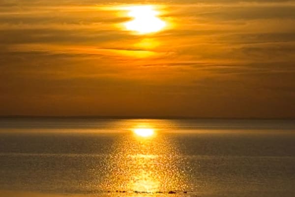 Photo by Jacqueline A.