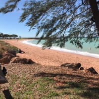 Photo by Elizabeth S.