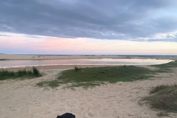 Photo by Celeste and Dan