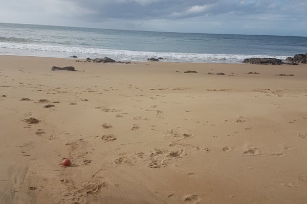 Photo by Anycamp user